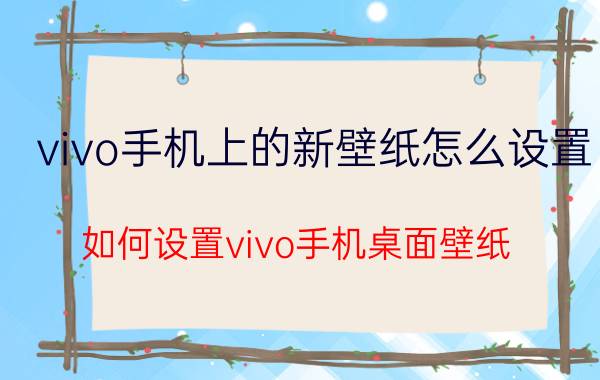 vivo手机上的新壁纸怎么设置 如何设置vivo手机桌面壁纸？